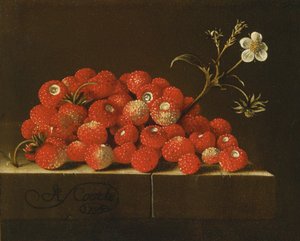 Wilde aardbeien op een richel